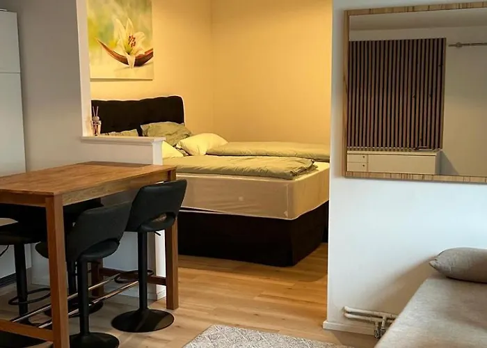 Apartamento Haus Crisan- Garconniere