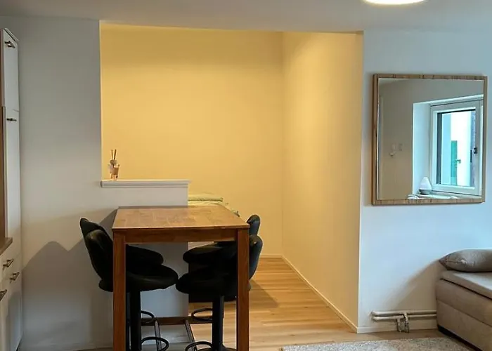 Apartamento Haus Crisan- Garconniere *